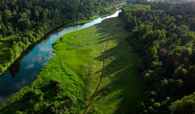 4 недорогих санатория в Москве и Московской области в 2024 году