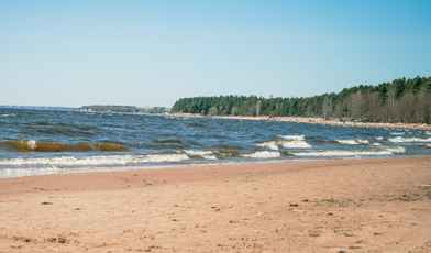 Недорогие санатории Ленинградской области в 2024 году