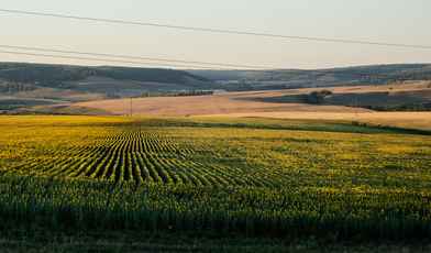 5 недорогих санаториев Башкирии в 2024 году