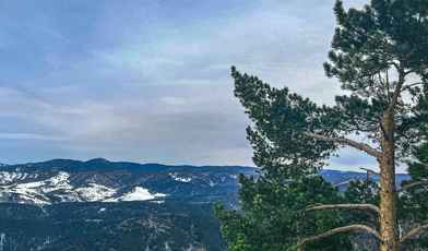 5 недорогих санаториев Белокурихи в 2024 году