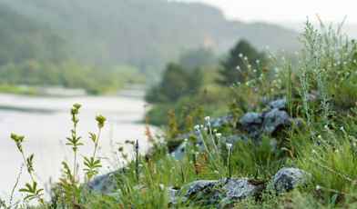 5 недорогих санаториев на Урале для лечения и отдыха в 2024 году