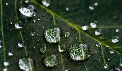  Водные процедуры в санатории: какие бывают и где их можно пройти