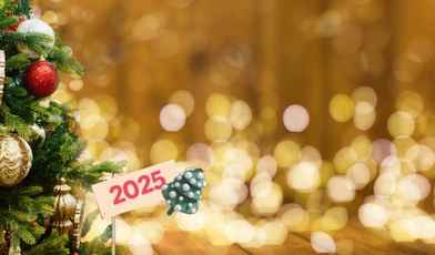 Новый год 2025 в санаториях и отелях Беларуси