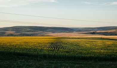 Топ-санаториев Башкирии 2025 года: места для отдыха и лечения с удовольствием