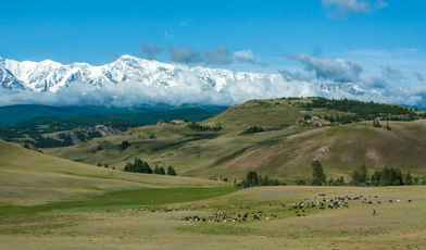 15 спа-отелей Алтая для отдыха в 2025 году