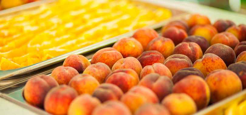 Детский лагерь «Ай-Кэмп»