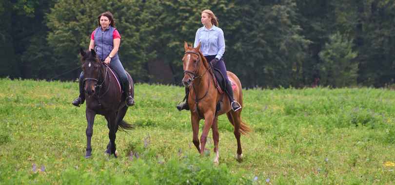 Пансионат «Заря», фото 6