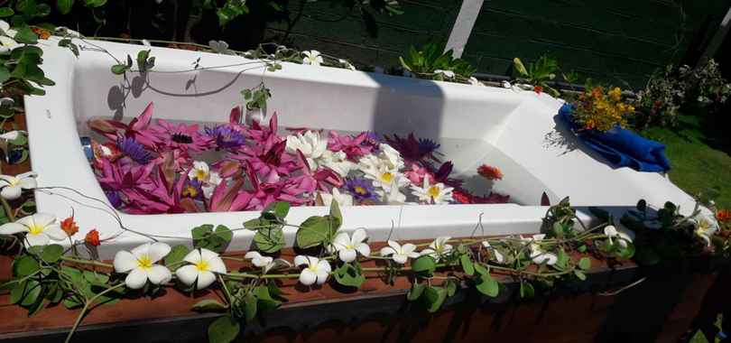 Hiru Mudra Ayurveda Resort, фото 4