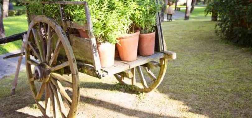 Seahorse Resort & Spa