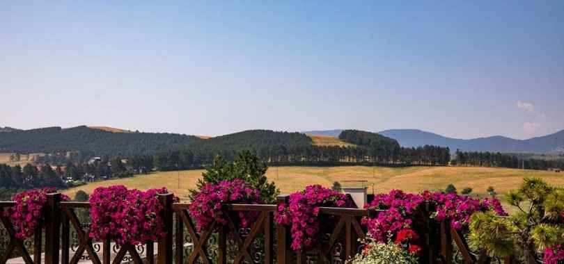 Grand Hotel Tornik Zlatibor, фото 4