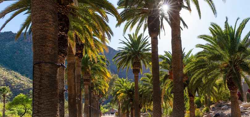 Castle Hot Springs, фото 16