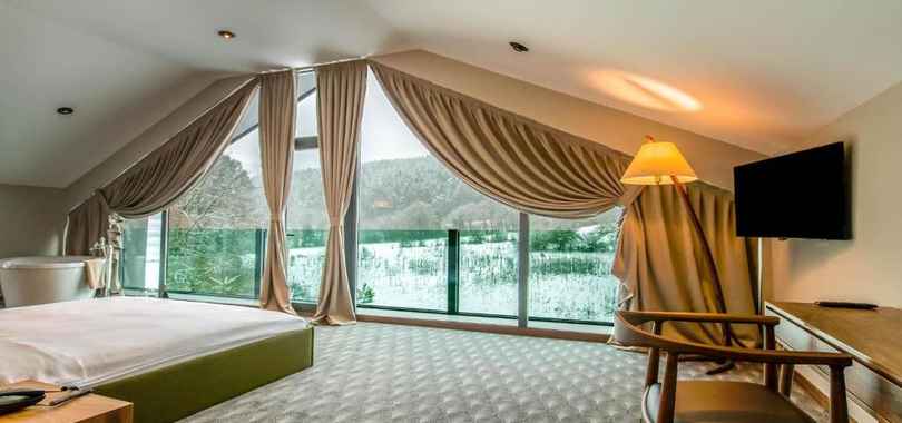 Отель Abant Lotus Otel