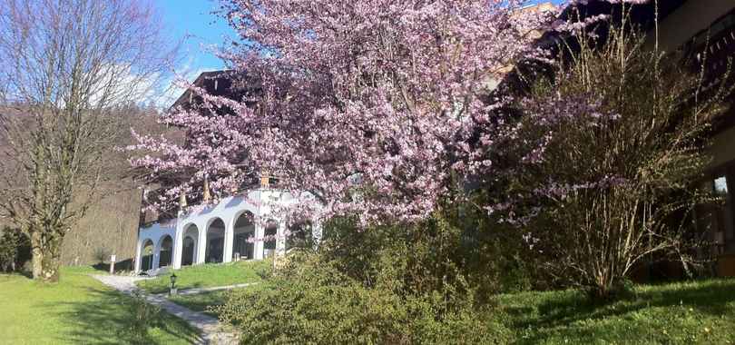 Berghotel Rehlegg, BW Premier Collection