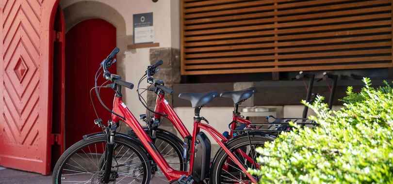 Hotel Villa K - Basel Airport