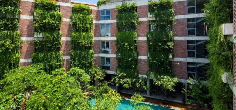 Mulberry Collection Silk Eco