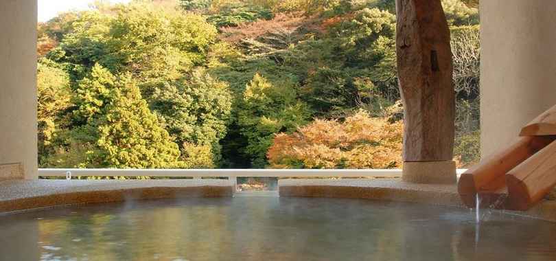 Hakone Suimeisou, фото 8