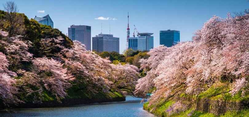 Four Seasons Hotel Tokyo at Marunouchi