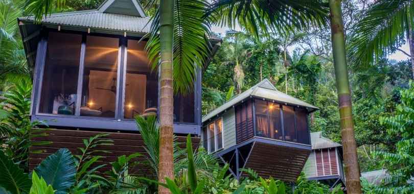 Daintree Ecolodge