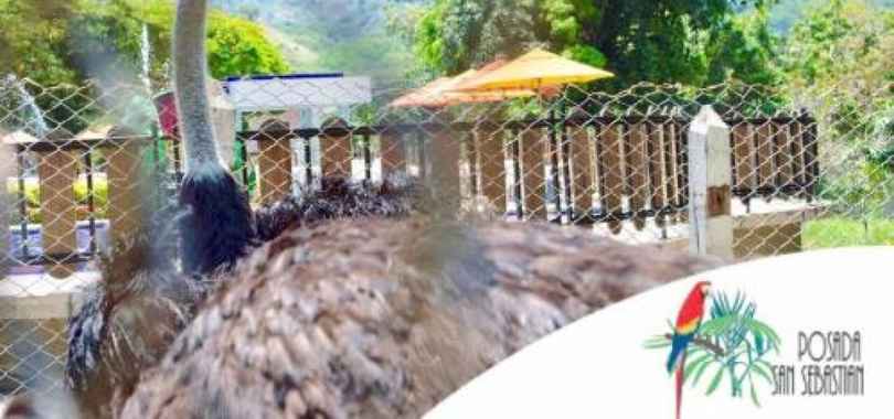 Hotel Spa Posada San Sebastian