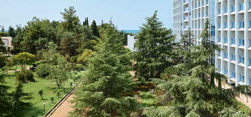 Отель «Грейс Арли», фото 40