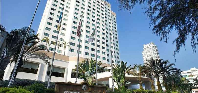 Evergreen Laurel Penang