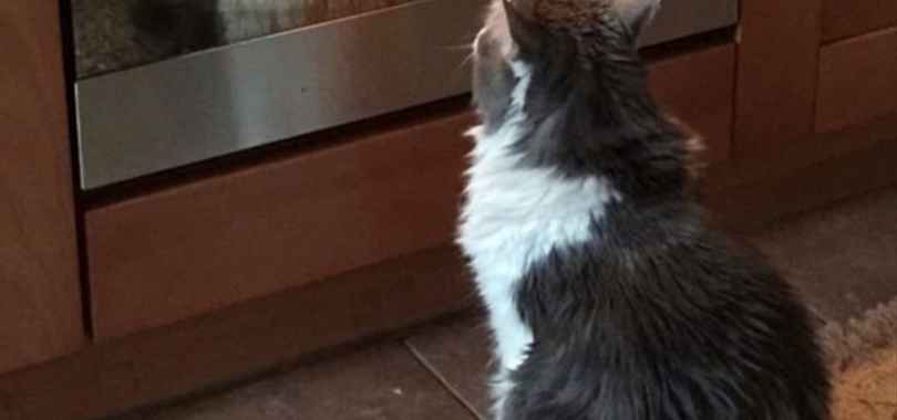 Тест отель (НЕ ЯВЛЯЕТСЯ ОТЕЛЕМ - НЕ ДЛЯ БРОНИРОВАНИЯ) 