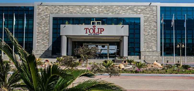 Tolip Taba