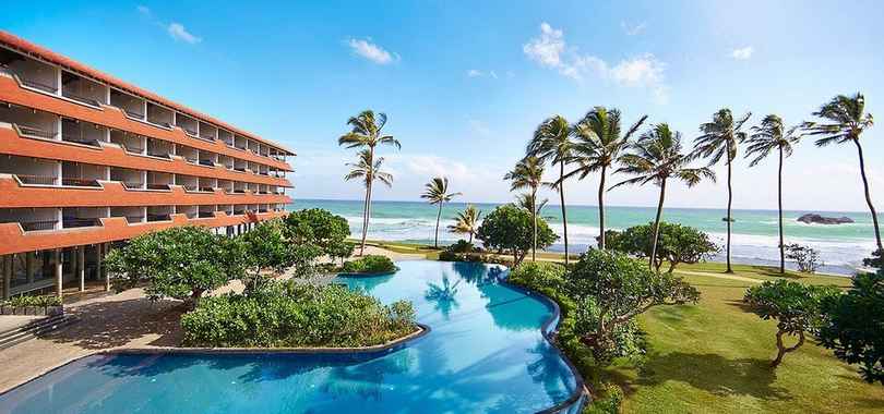 Hikka Tranz by Cinnamon