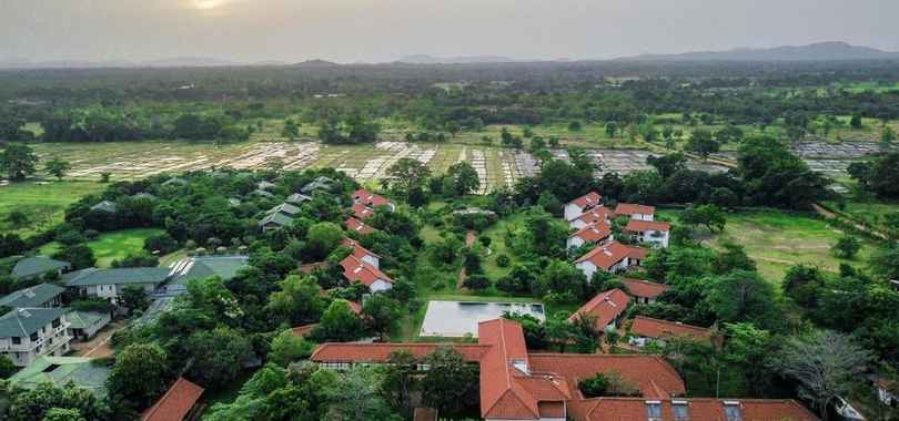 Sigiriya Jungles