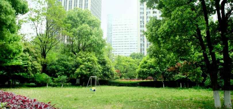 The Westin Wuhan Wuchang, фото 16