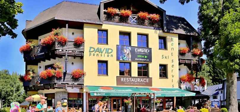 David Wellness Hotel