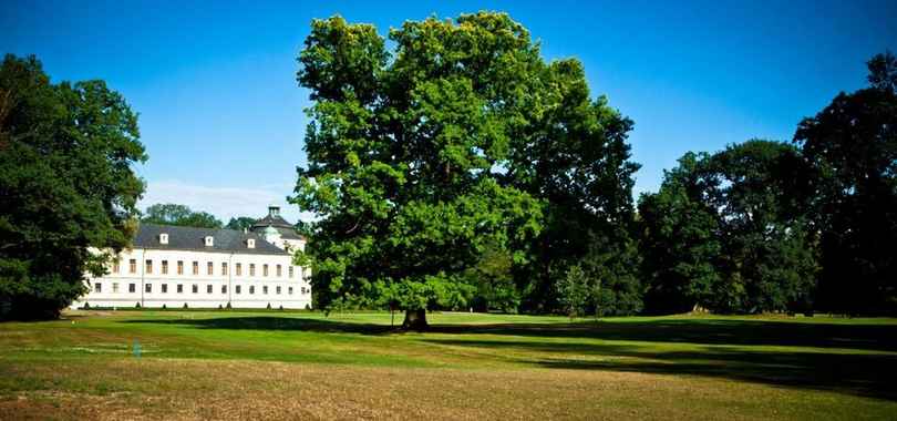 Silesia Golf Resort Kravaře, фото 8