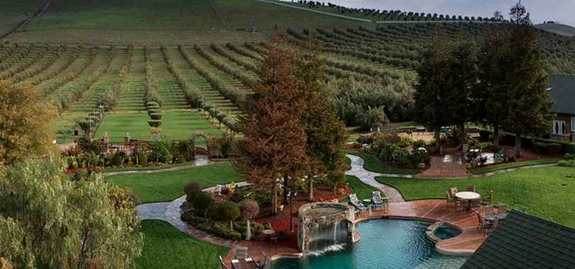 The Purple Orchid Wine Country Resort & Spa