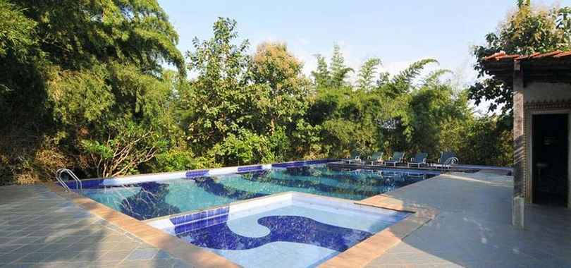 The Celebration Van Vilas