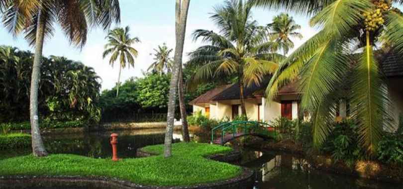 Abad Whispering Palms