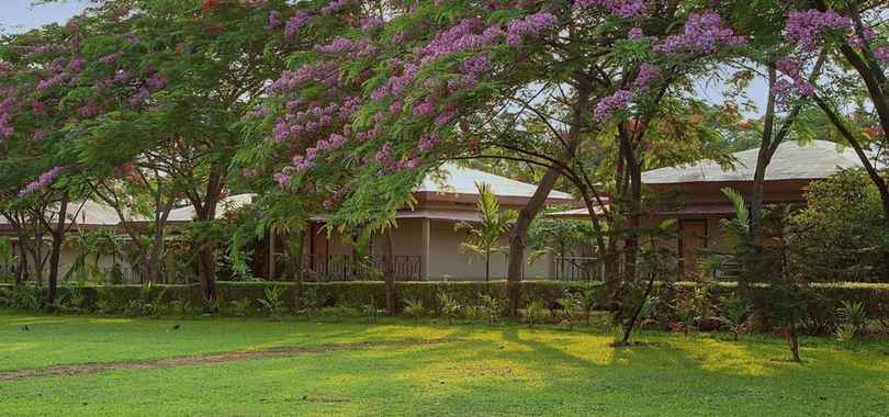 Sinclairs Retreat Dooars