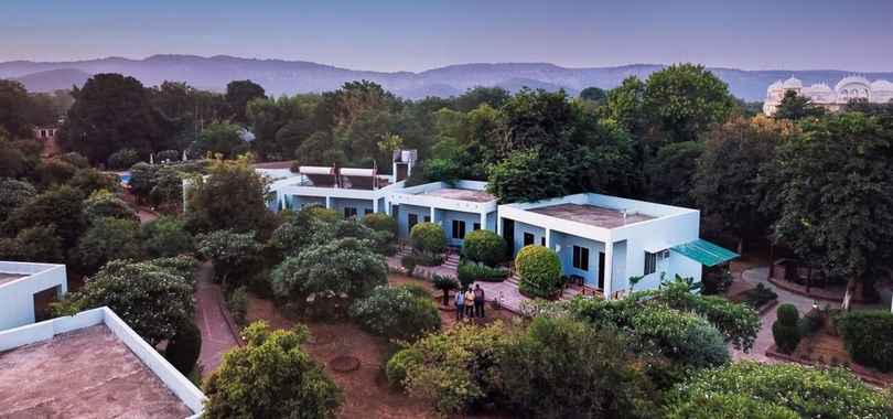 Treehouse The Pugmark