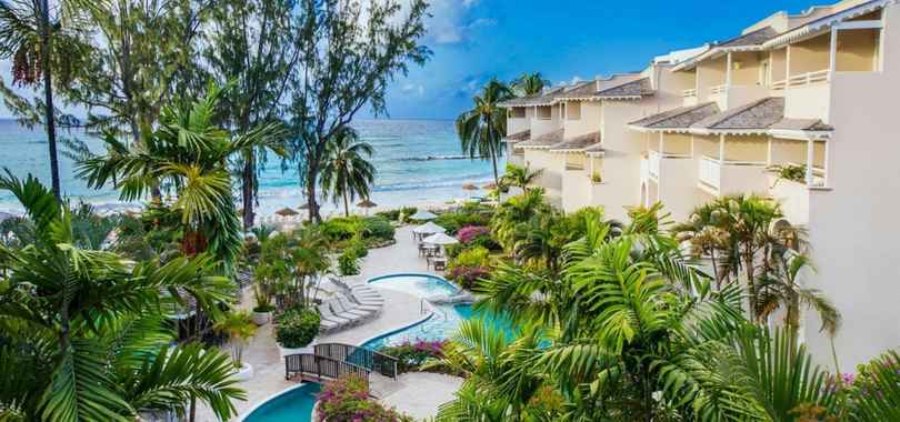 Bougainvillea Barbados, фото 3
