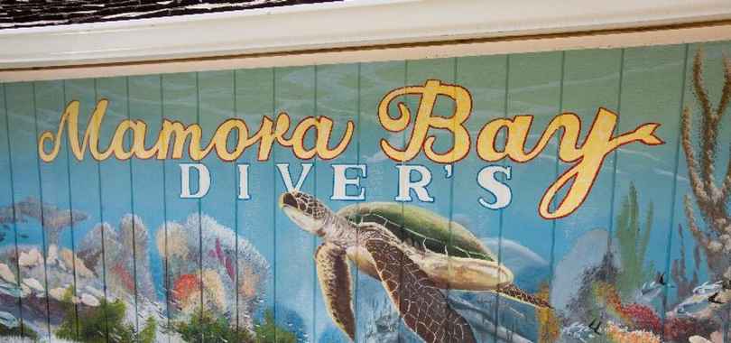 St. James's Club Antigua - All Inclusive