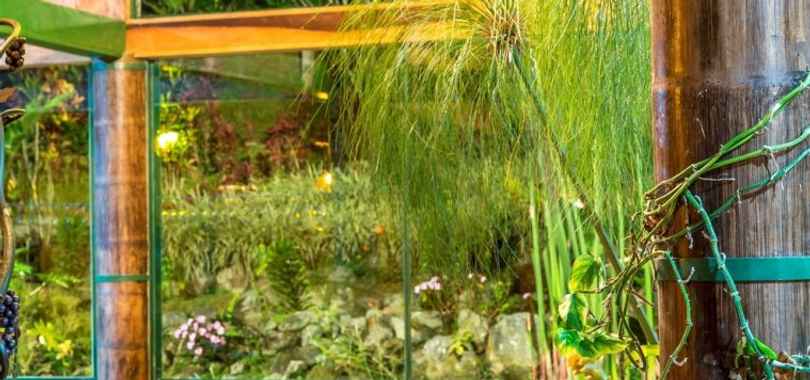 Yumbo Love Experience