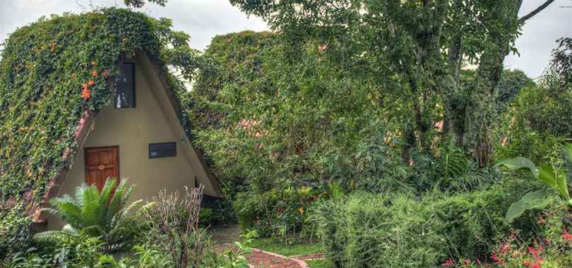 Pura Vida Retreat & Spa