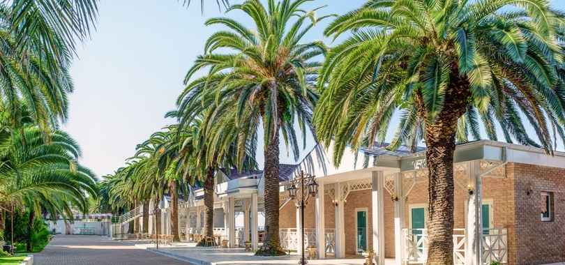 Дом отдыха «Им. Челюскинцев»