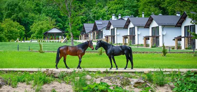 Загородный парк-отель «Орлиное плато»