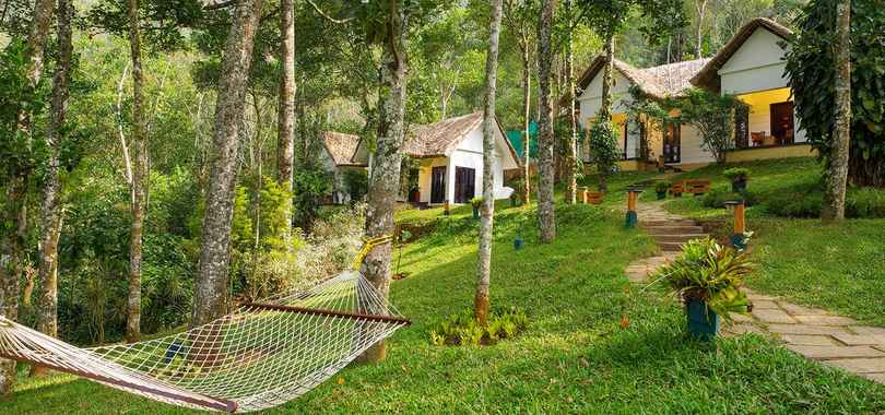 Niraamaya Retreats Cardamom Club