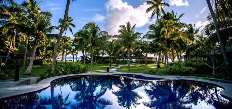 Paradise Sun
