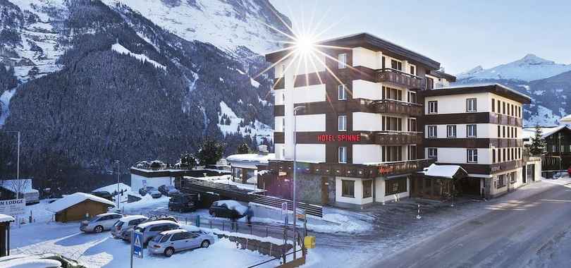 Hotel Spinne