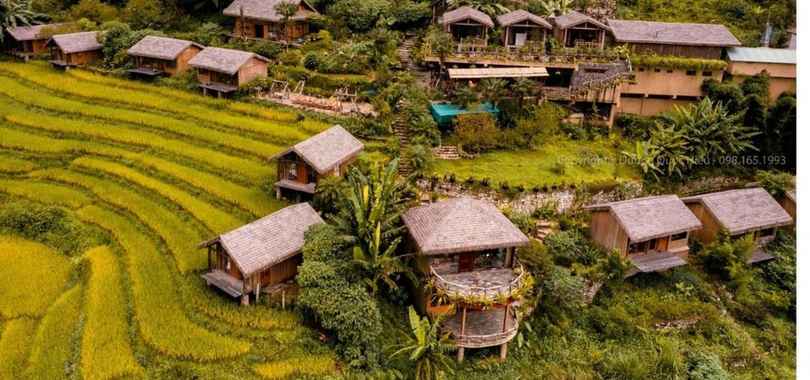 Eco Palms House - Sapa Retreat