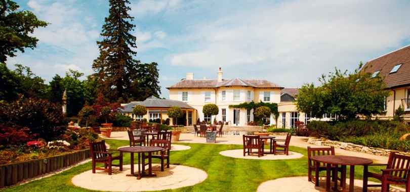 The Vineyard