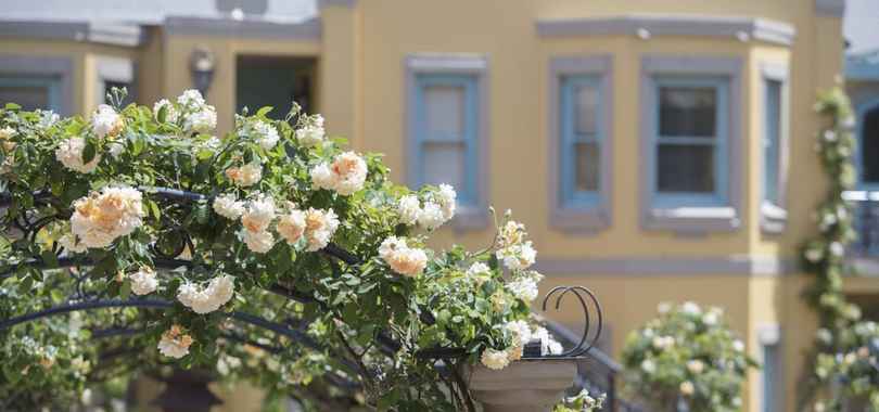 Franschhoek Country House and Villas