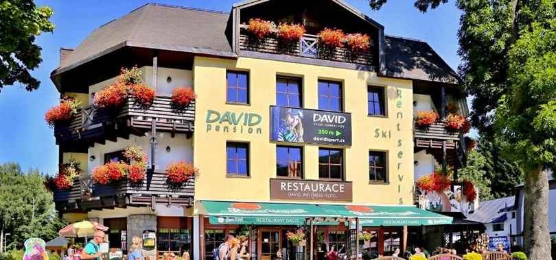 David Wellness Hotel